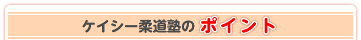 ケイシー柔道塾のポイント